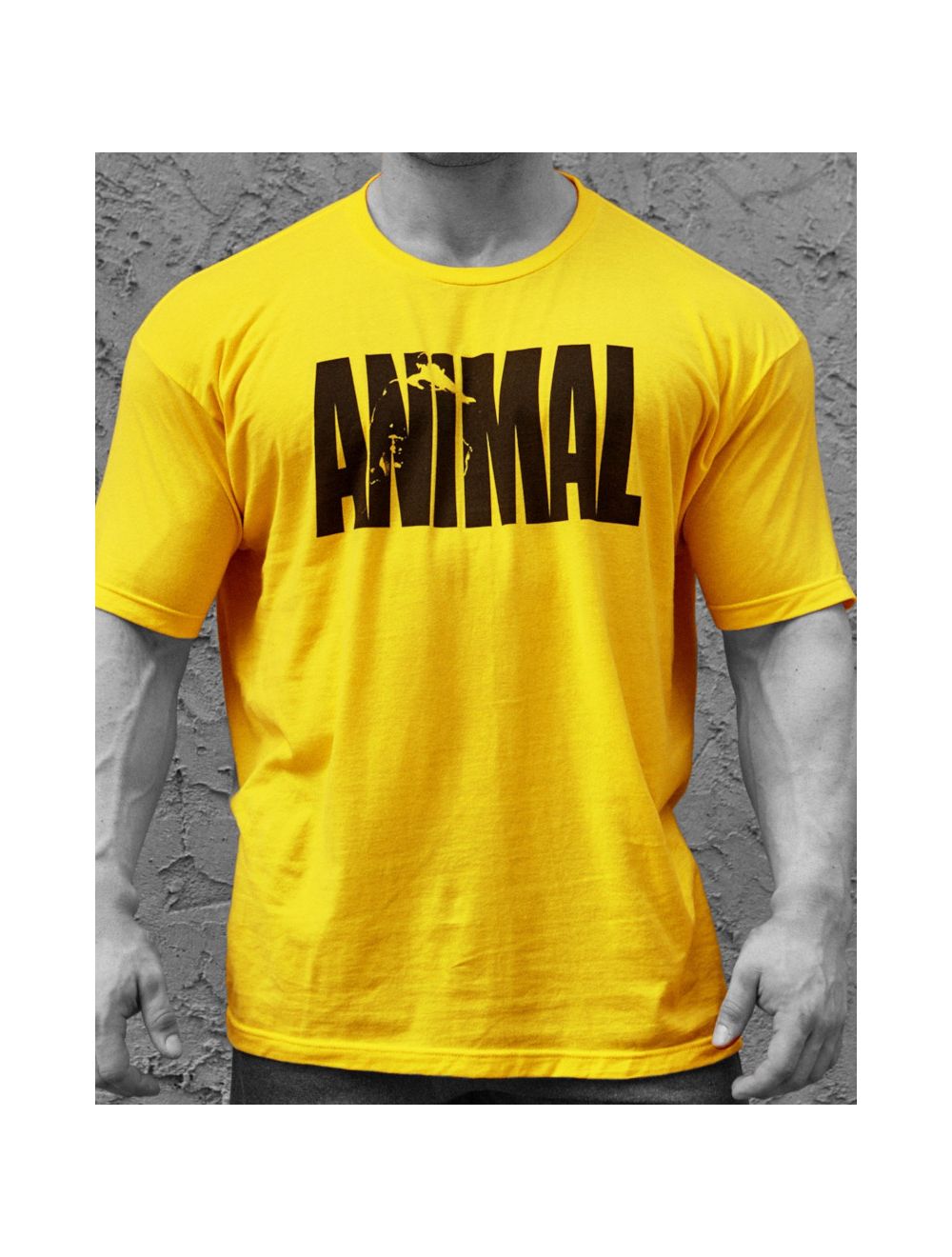 Animal Iconic T-Shirt | OlympianStore
